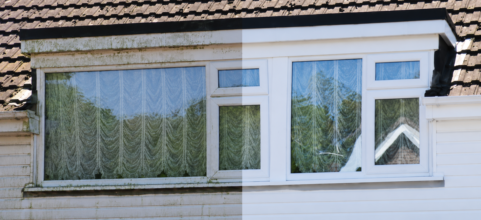 Window Cleaning